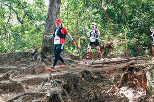 BIB: 
                            <button type="button" onclick="openModal(27719348)" class="btn btn-primary btn-sm float-right btn-popup" data-toggle="modal" data-target=".modal-high-quality">
                        <i class="fas fa-shopping-cart"></i> Add to Cart
                    </button>
                                            <button type="button" onclick="isThisMe(27719348, true)" class="btn btn-success btn-sm float-right btn-popup btn-isme hidden" data-toggle="tooltip" data-placement="bottom" title="นี่คือรูปของคุณใช่ไหม คลิกที่นี่เพื่อเอาเข้าอัลบั้ม">
                        <i class="fas fa-plus"></i> Add to album
                    </button>
                    <button type="button" onclick="isThisMe(27719348, false)" class="btn btn-warning btn-sm float-right btn-popup btn-isnotme hidden">
                        <i class="fas fa-ban"></i> Remove from album
                    </button>